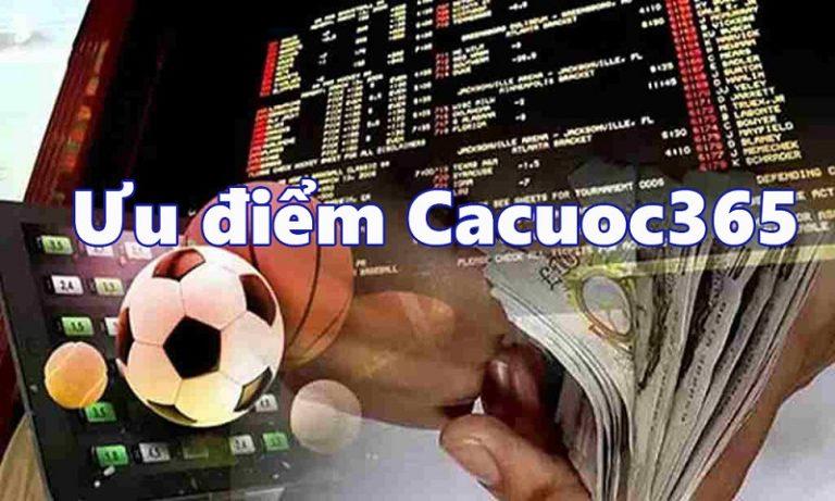 Khám phá phỏm zing và các bí quyết chơi phỏm zing thành công