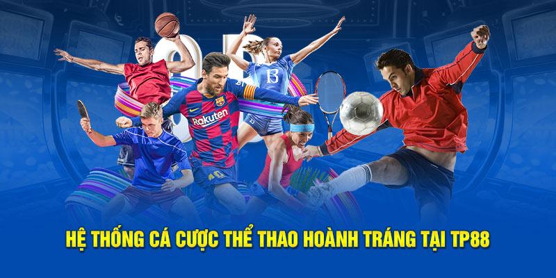 Khám phá xemlien quan và các bí mật thú vị của xemlien quan mà bạn chưa biết