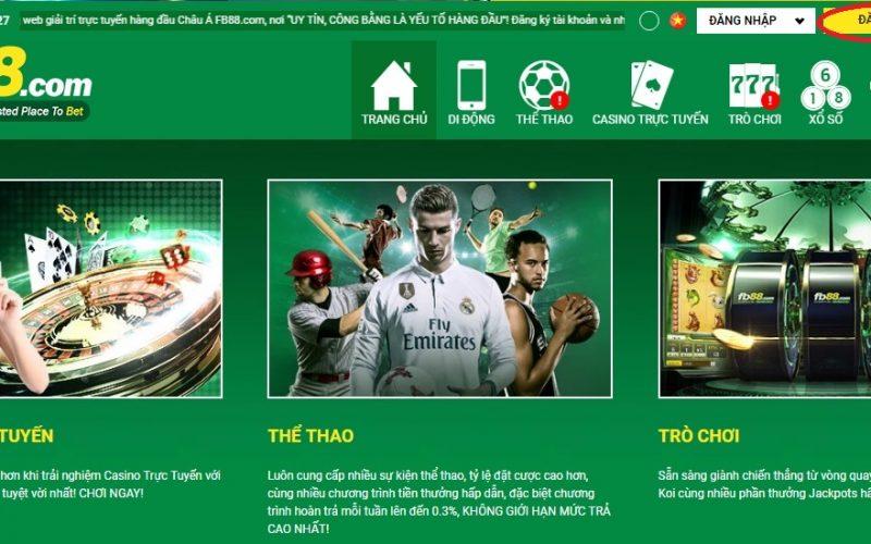 Hướng dẫn chơi cờ vua cho người mới bắt đầu dễ hiểu và hiệu quả