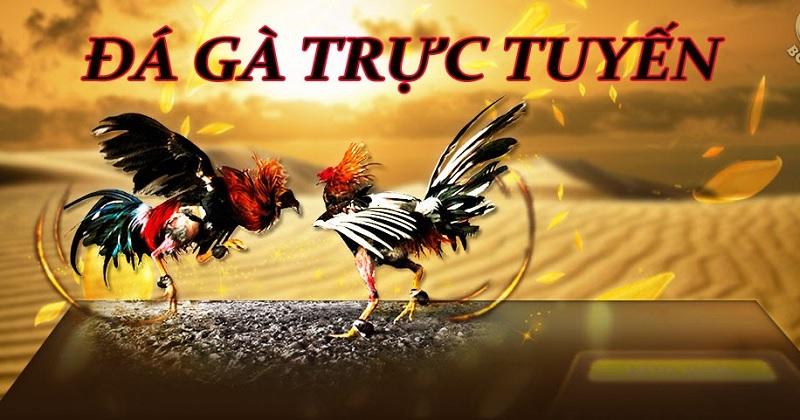 Khám phá garena su kien mới nhất và tham gia các garena su kien hấp dẫn hôm nay