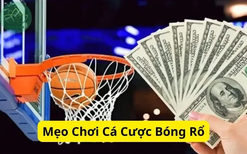Khám phá bộ sưu tập ảnh liên quân cực chất dành cho game thủ đam mê liên quân