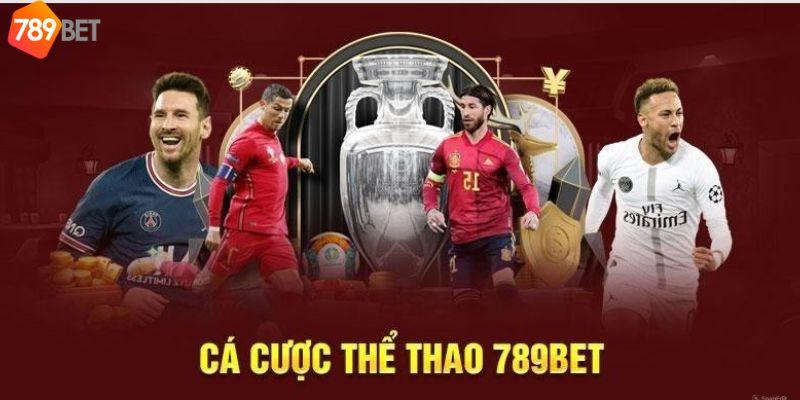 Khám phá công ty tnhh tiki – Bí quyết thành công và sự phát triển vượt bậc của công ty tnhh tiki